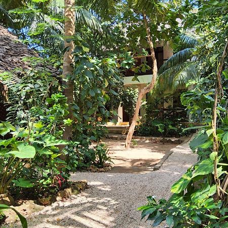 Atii Garden Bungalows Nungwi Εξωτερικό φωτογραφία