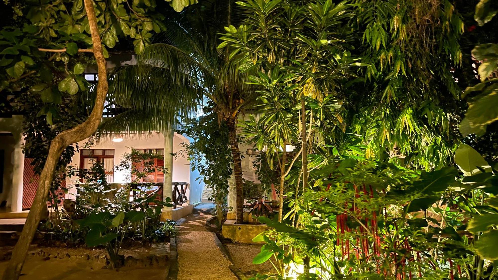 Atii Garden Bungalows Nungwi Εξωτερικό φωτογραφία
