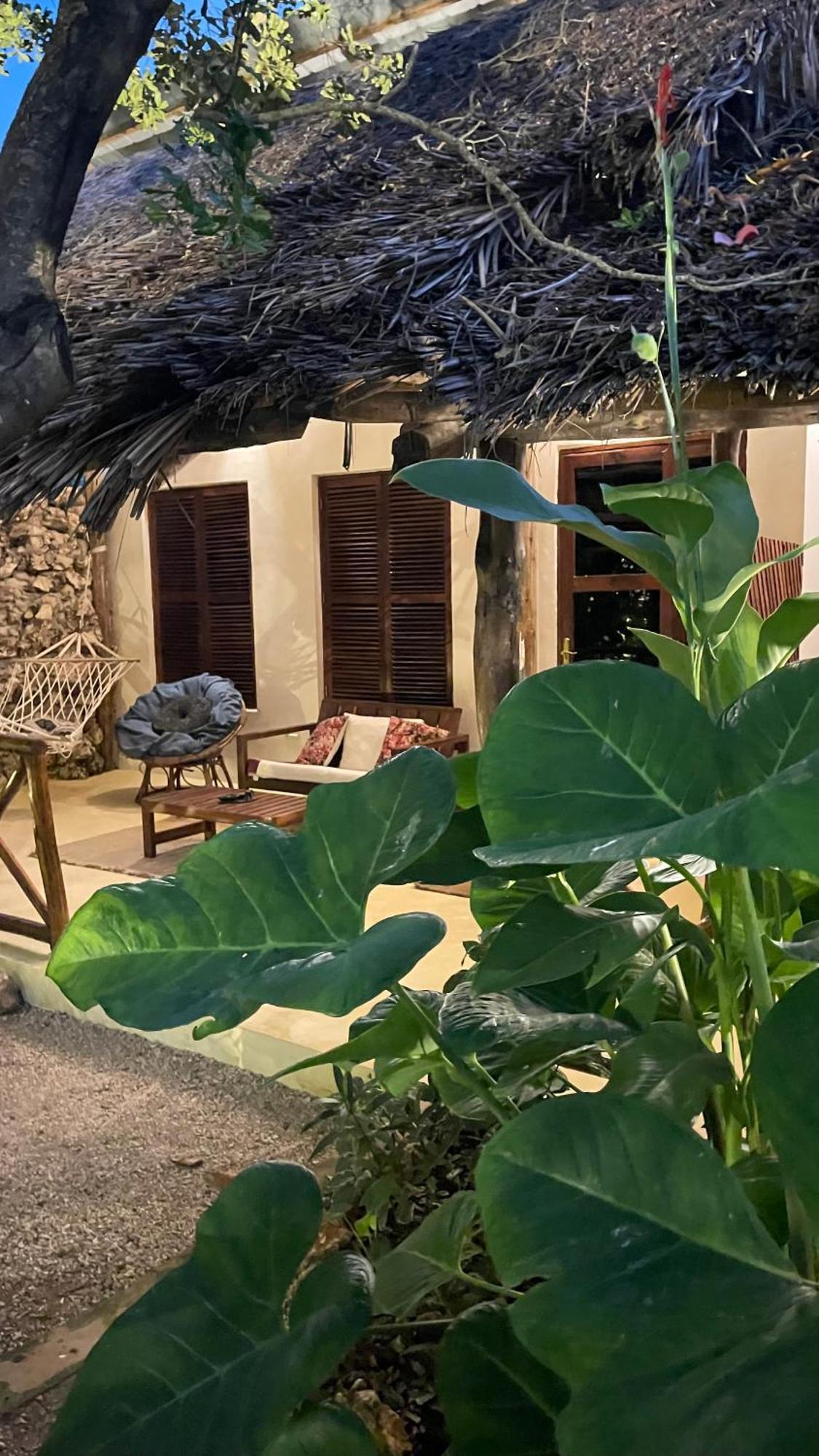 Atii Garden Bungalows Nungwi Εξωτερικό φωτογραφία