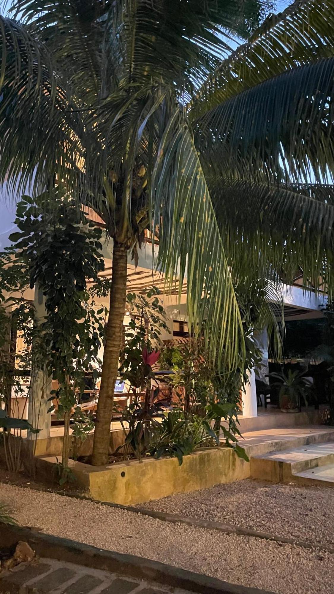 Atii Garden Bungalows Nungwi Εξωτερικό φωτογραφία