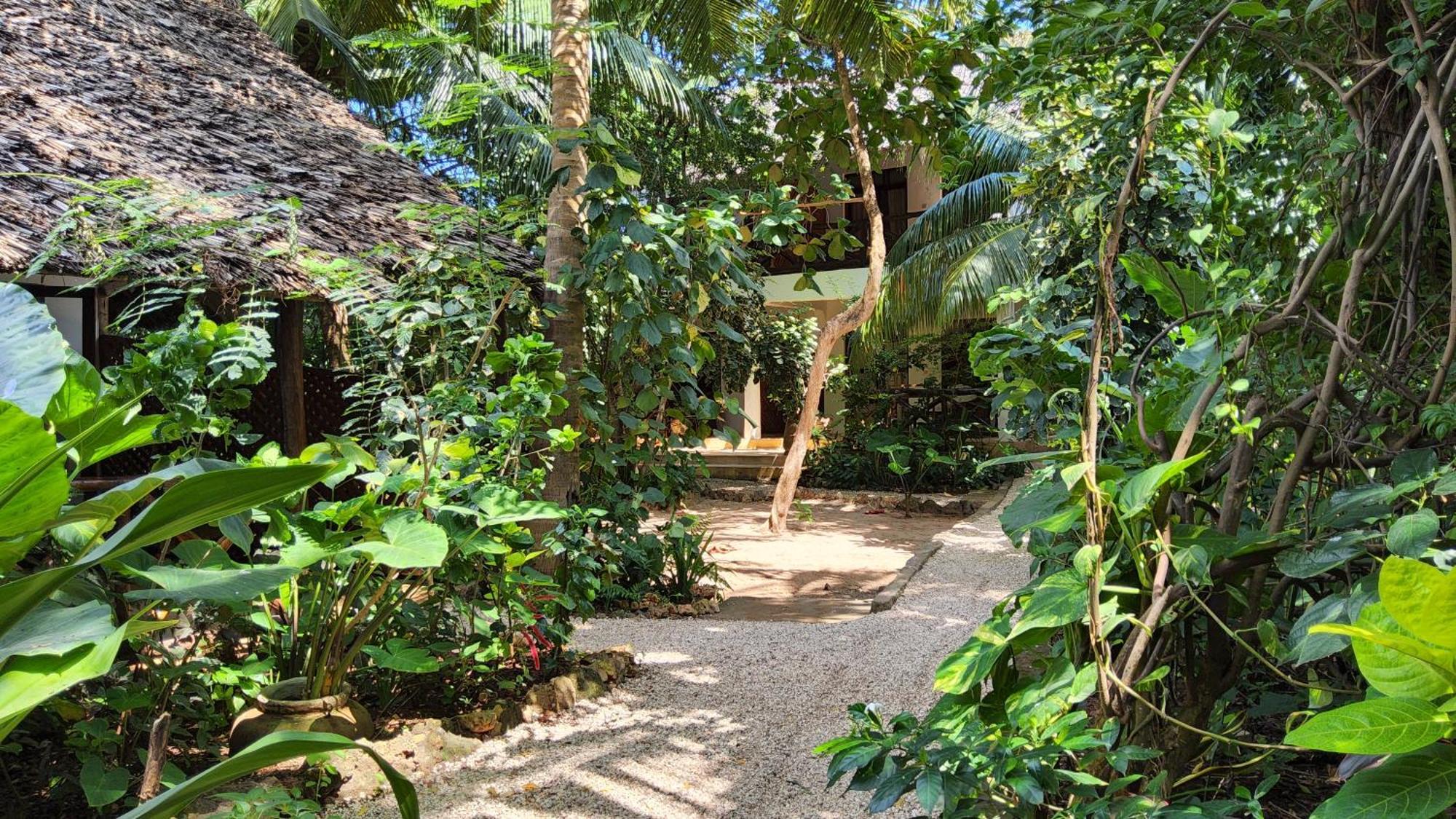 Atii Garden Bungalows Nungwi Εξωτερικό φωτογραφία